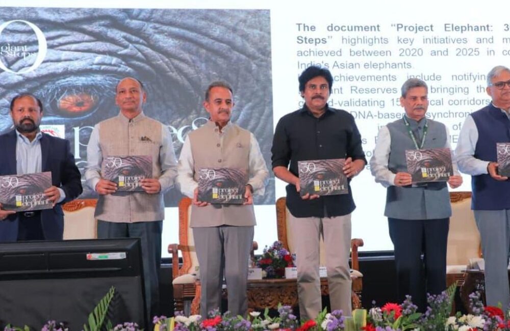 Pawan Kalyan Calls for Human-Elephant Coexistence