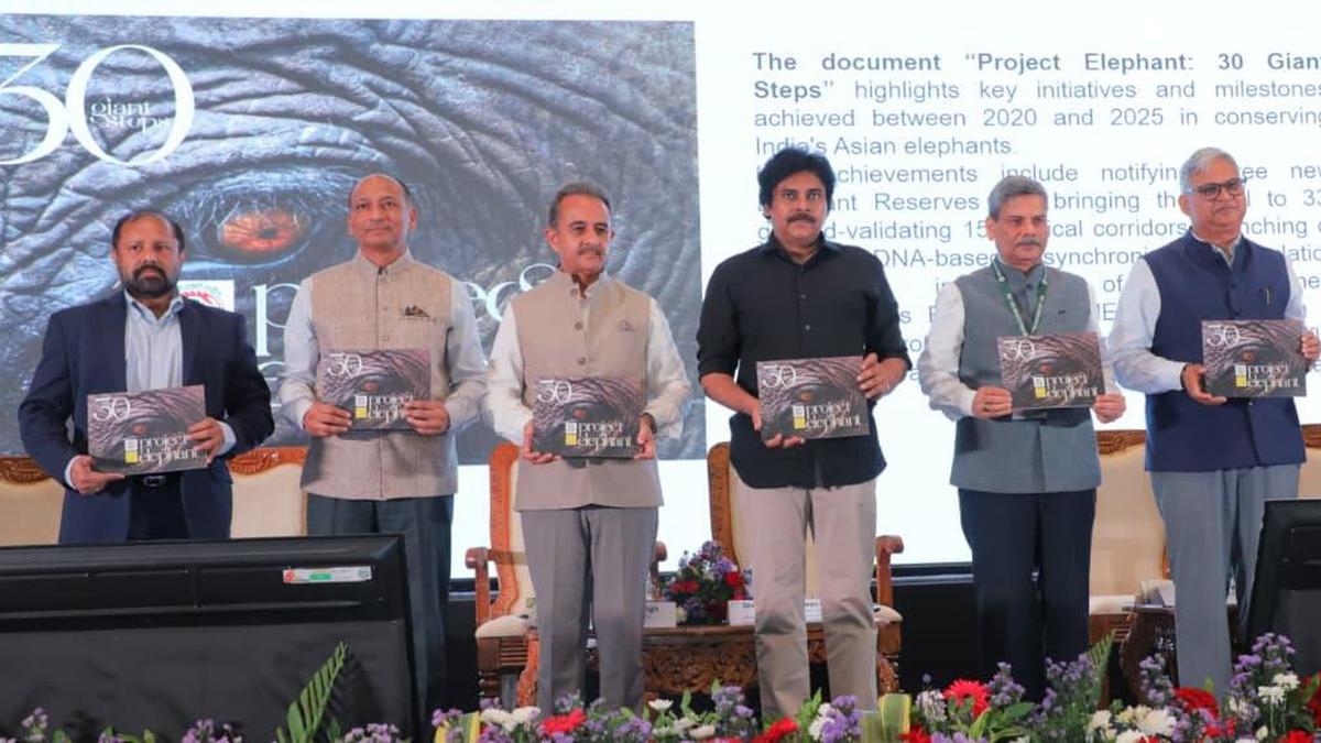 Pawan Kalyan Calls for Human-Elephant Coexistence