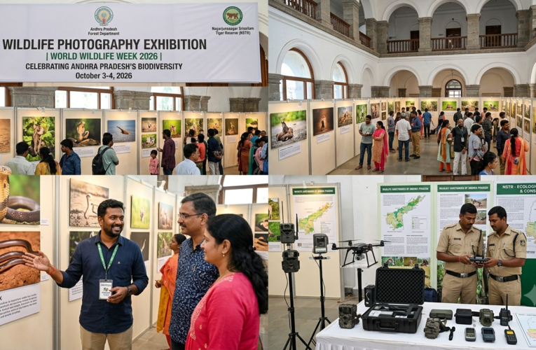 Wildlife of Andhra Pradesh in focus at Hawa Mahal